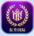 东升国际