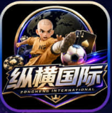 纵横国际